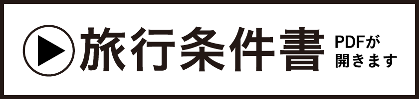 旅行条件書｜PDFが開きます